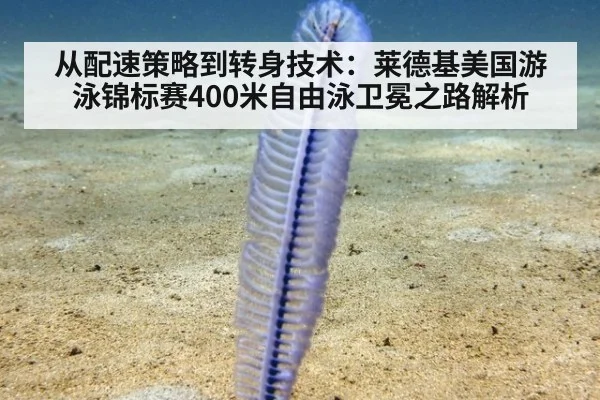 从配速策略到转身技术：莱德基美国游泳锦标赛400米自由泳卫冕之路解析
