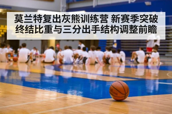 莫兰特复出灰熊训练营 新赛季突破终结比重与三分出手结构调整前瞻