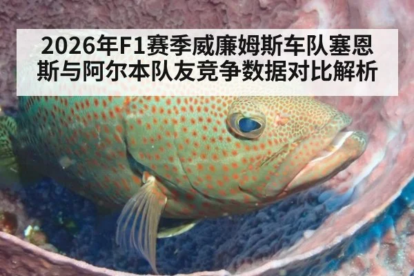 2026年F1赛季威廉姆斯车队塞恩斯与阿尔本队友竞争数据对比解析